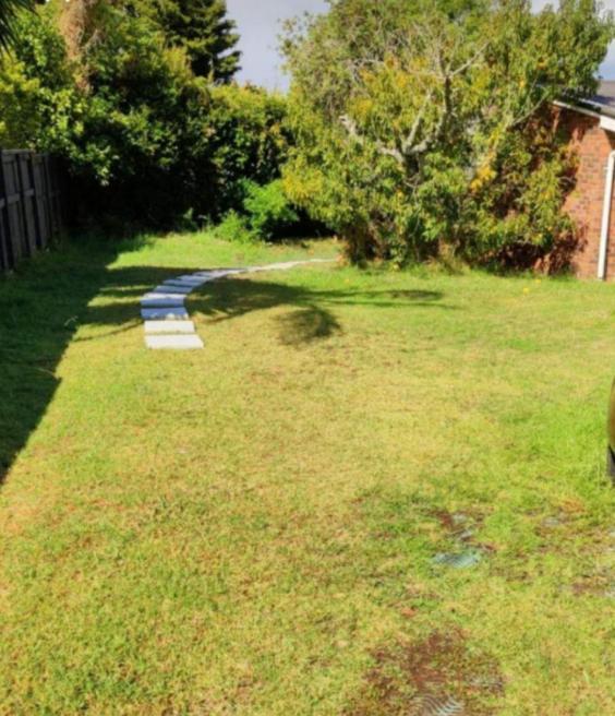 Separate Entry Guest Room With Private Bathroom In Forrest Hill Auckland Dış mekan fotoğraf